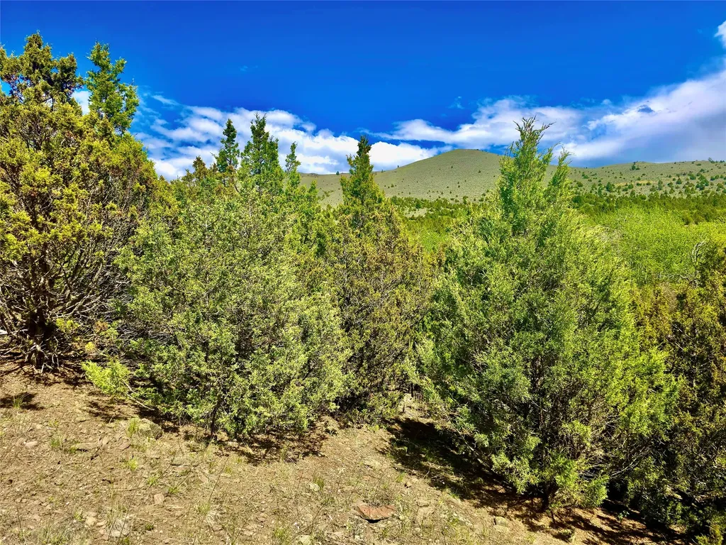 Block 172 Lots 1-12 Wallace Street Virginia City MT 59755