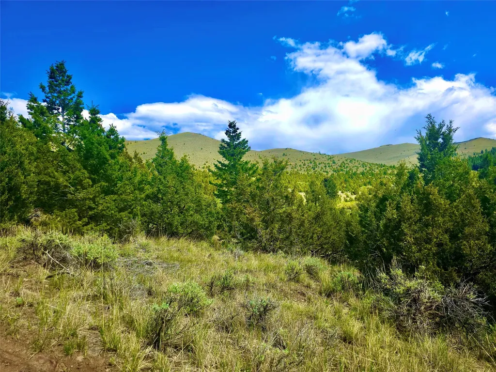 Block 172 Lots 1-12 Wallace Street Virginia City MT 59755
