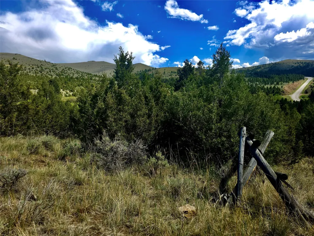 Block 172 Lots 1-12 Wallace Street Virginia City MT 59755