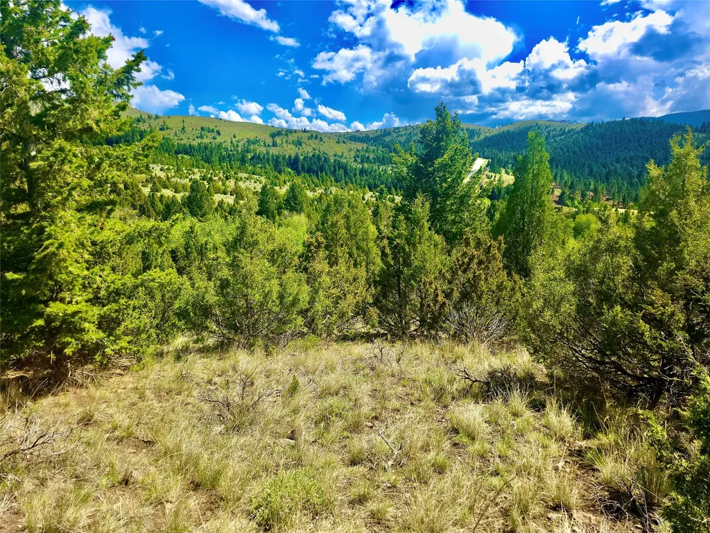 Block 172 Lots 1-12 Wallace Street Virginia City MT 59755