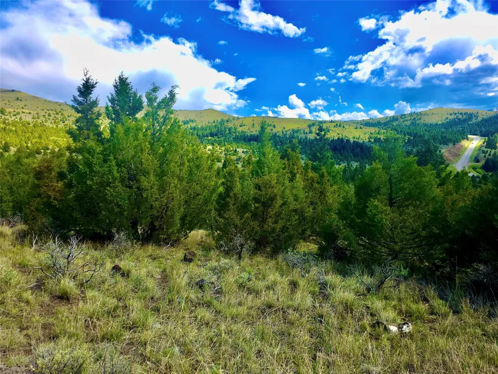 Block 172 Lots 1-12 Wallace Street Virginia City MT 59755