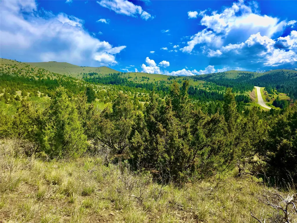 Block 172 Lots 1-12 Wallace Street Virginia City MT 59755