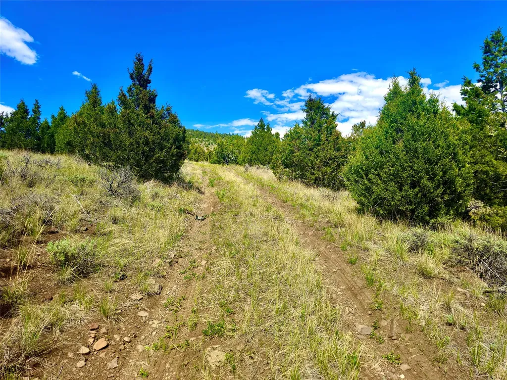 Block 172 Lots 1-12 Wallace Street Virginia City MT 59755