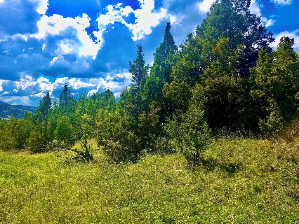 Block 172 Lots 1-12 Wallace Street Virginia City MT 59755