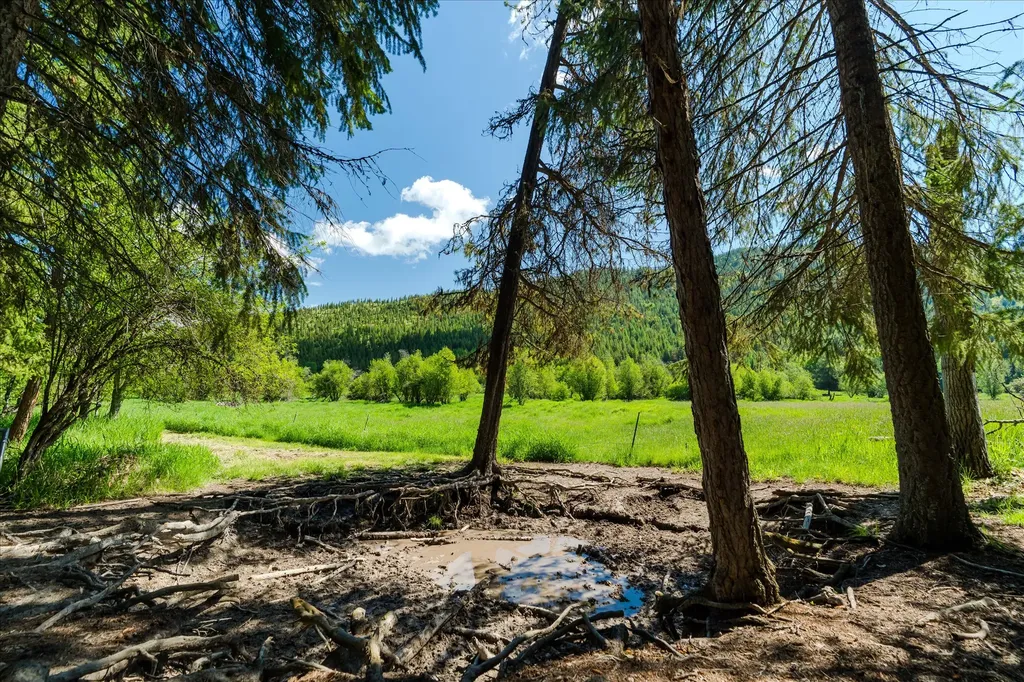 185 Bayhorse Road Libby MT 59923