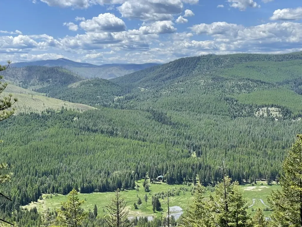 185 Bayhorse Road Libby MT 59923