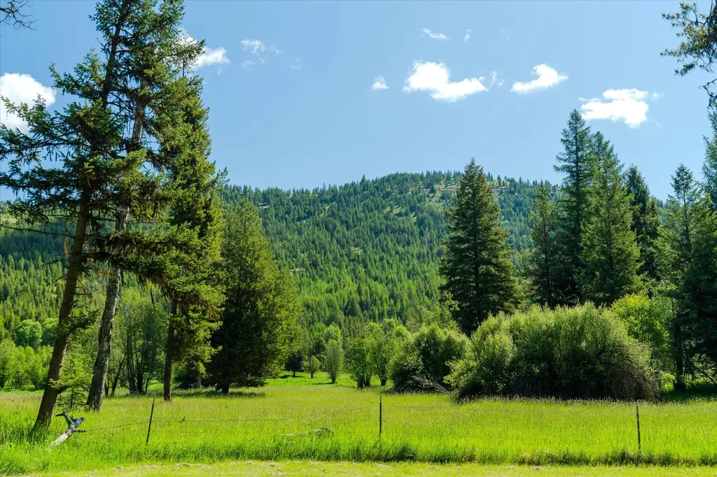 185 Bayhorse Road Libby MT 59923