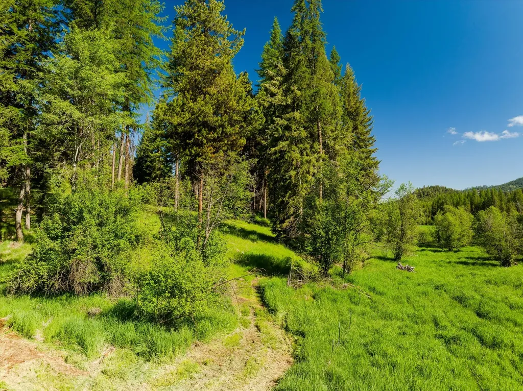 185 Bayhorse Road Libby MT 59923