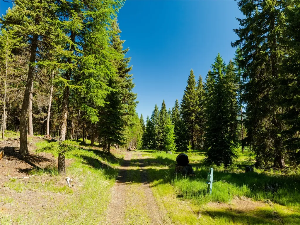 185 Bayhorse Road Libby MT 59923