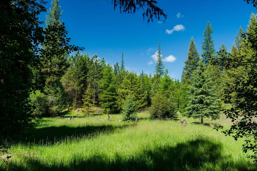 185 Bayhorse Road Libby MT 59923