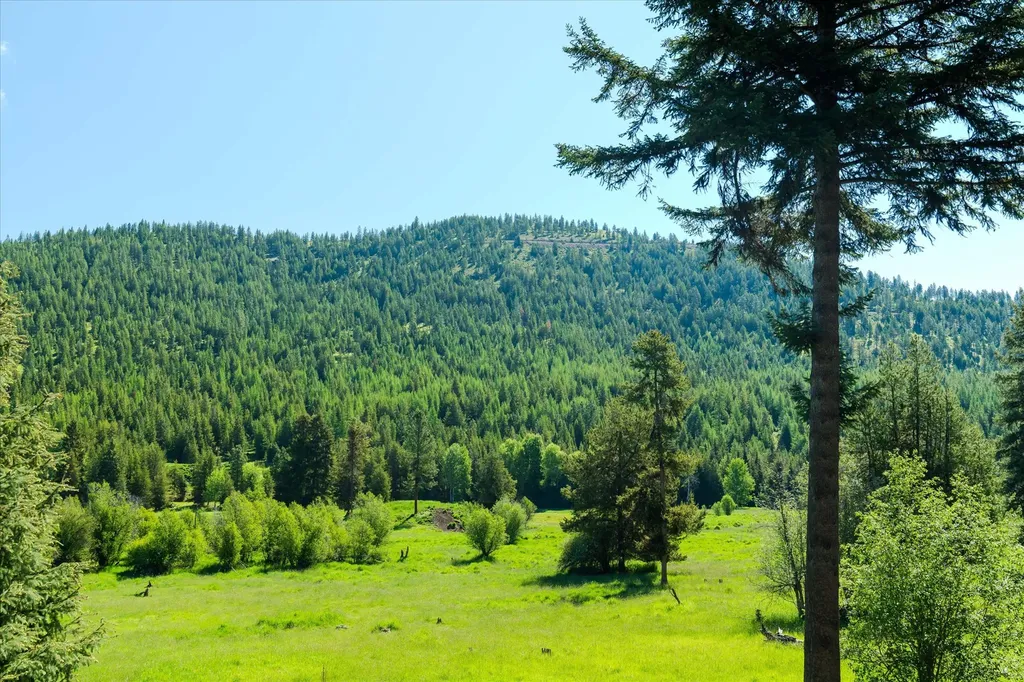 185 Bayhorse Road Libby MT 59923