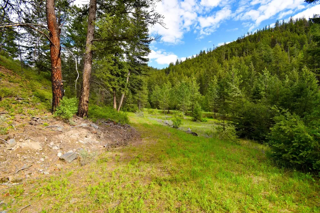 Tract 1 Henry Creek Road Plains MT 59859