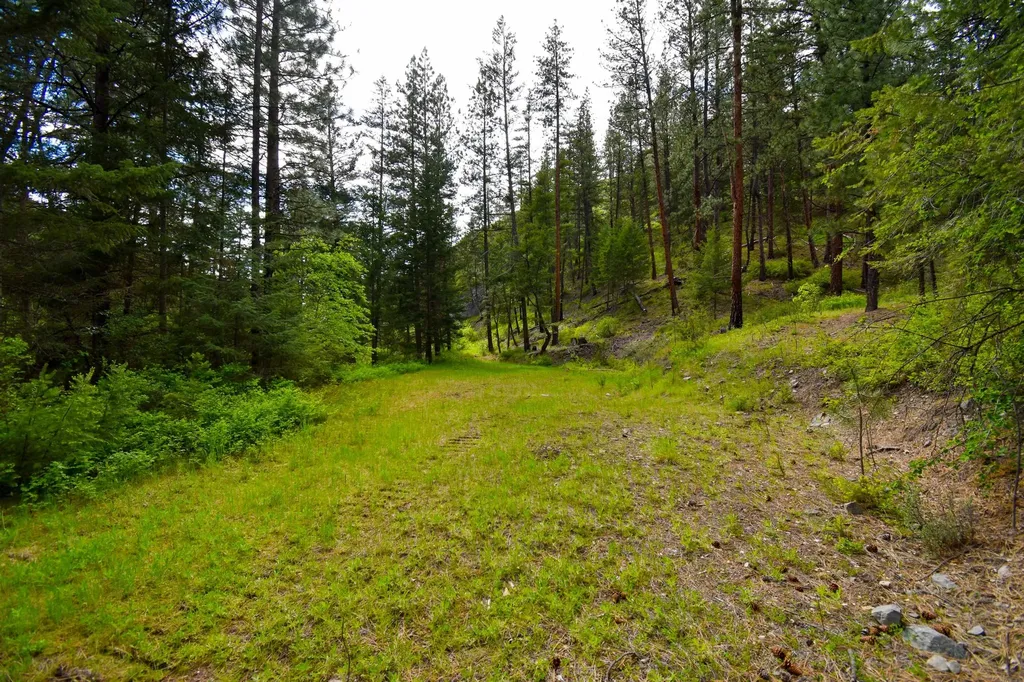 Tract 1 Henry Creek Road Plains MT 59859