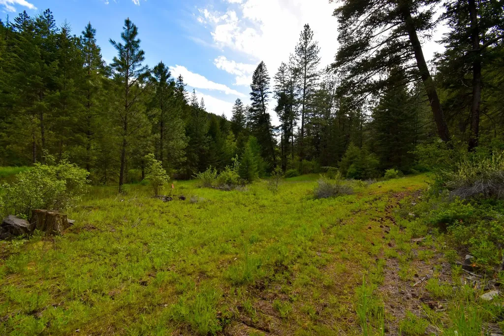 Tract 1 Henry Creek Road Plains MT 59859