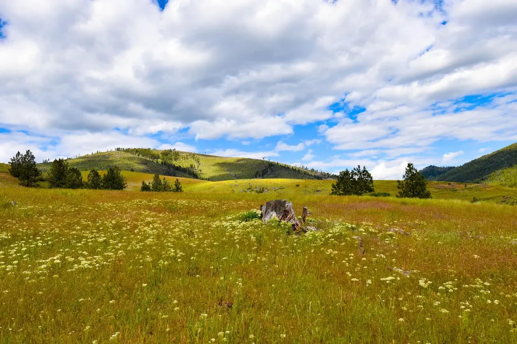 Tract 2 Henry Creek Road Plains MT 59859