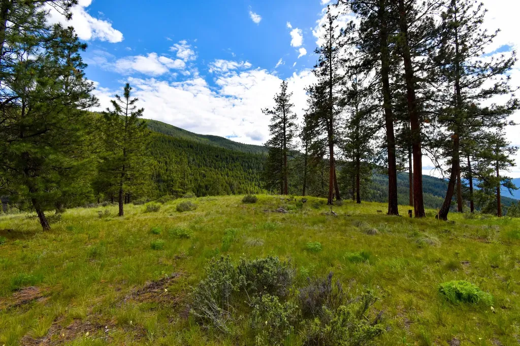 Tract 2 Henry Creek Road Plains MT 59859