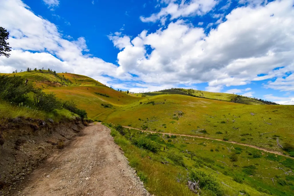 Tract 2 Henry Creek Road Plains MT 59859