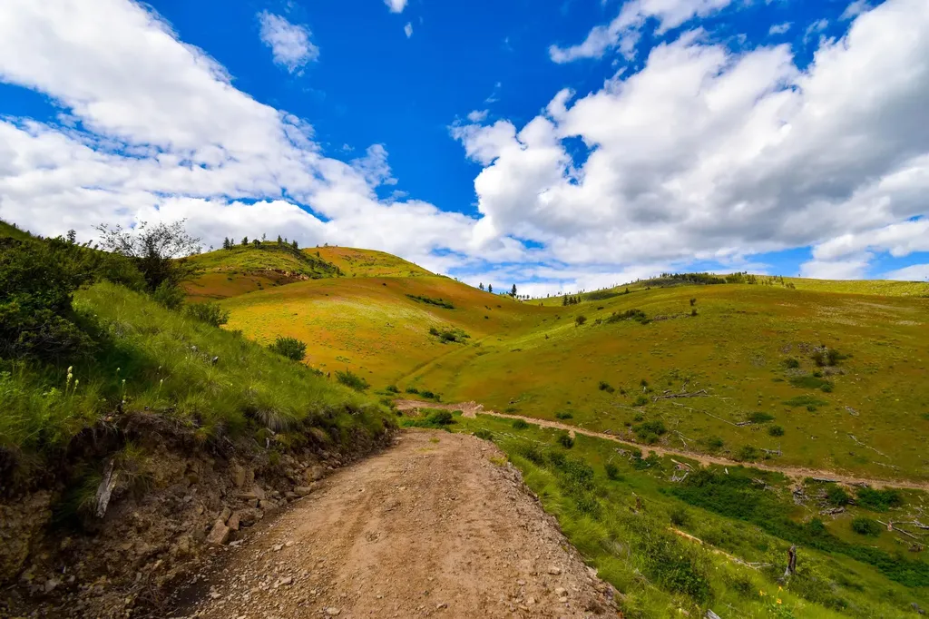 Tract 2 Henry Creek Road Plains MT 59859