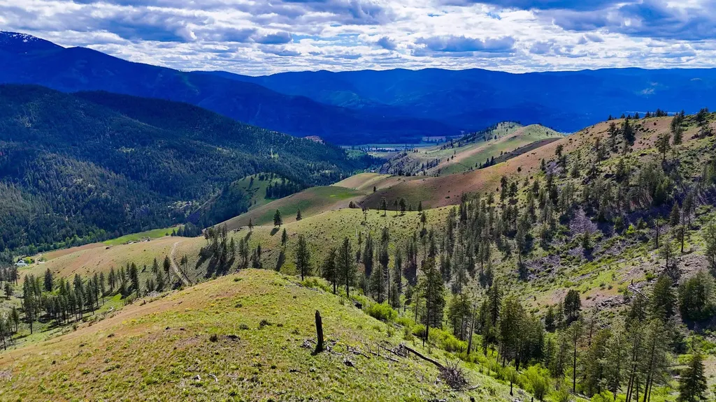 Tract 2 Henry Creek Road Plains MT 59859
