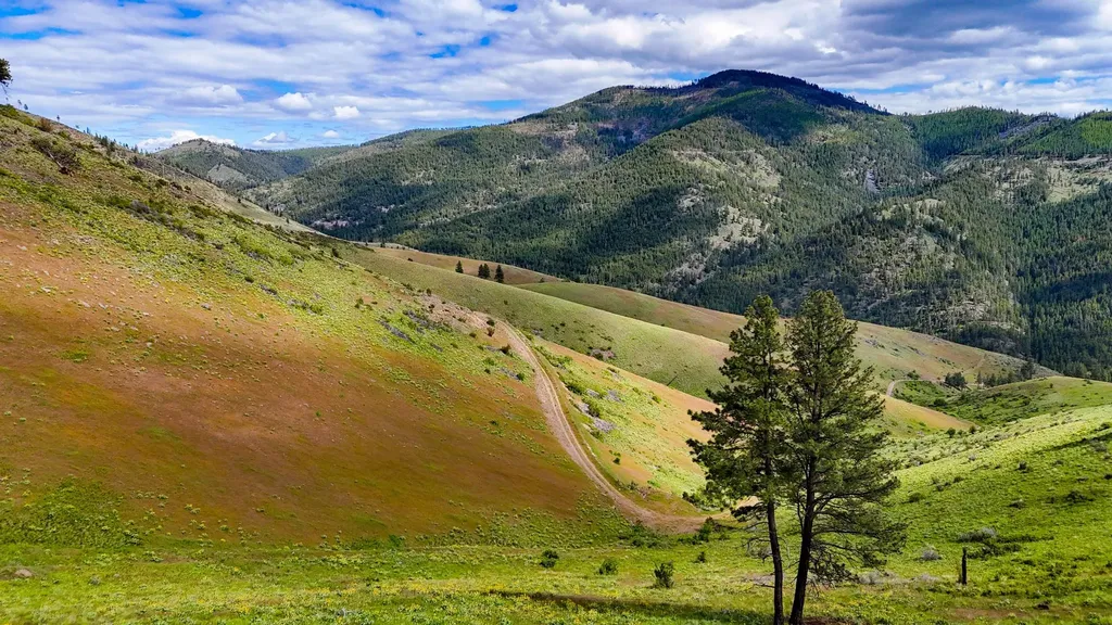 Tract 2 Henry Creek Road Plains MT 59859