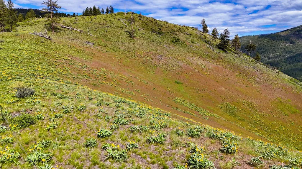 Tract 2 Henry Creek Road Plains MT 59859