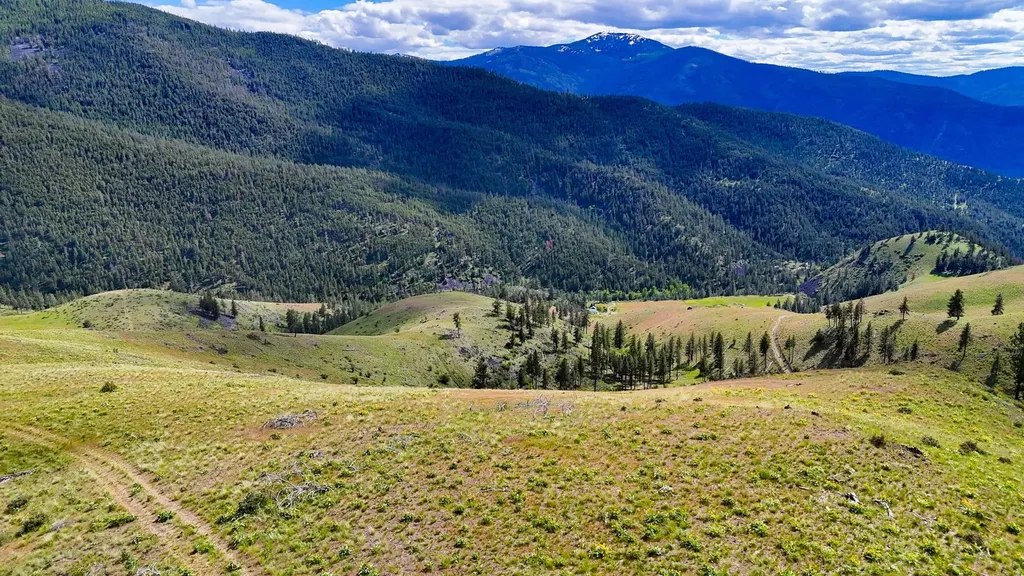 Tract 2 Henry Creek Road Plains MT 59859