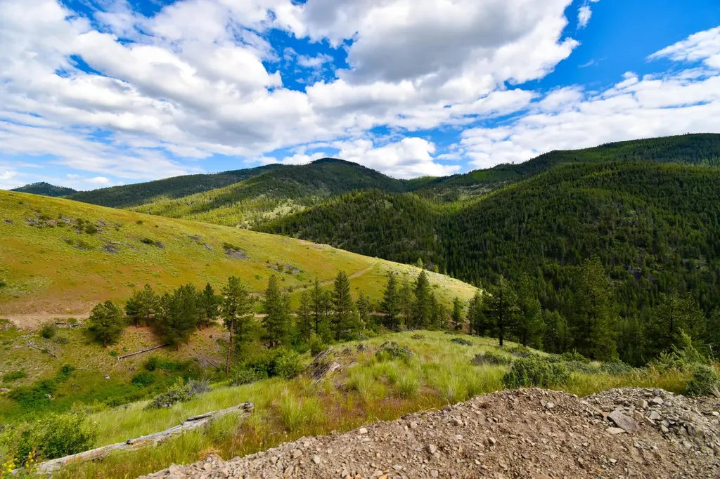 Tract 2 Henry Creek Road Plains MT 59859