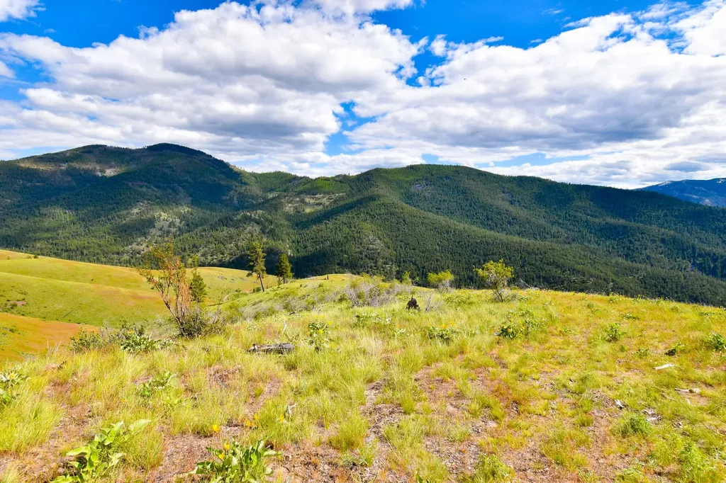 Tract 2 Henry Creek Road Plains MT 59859