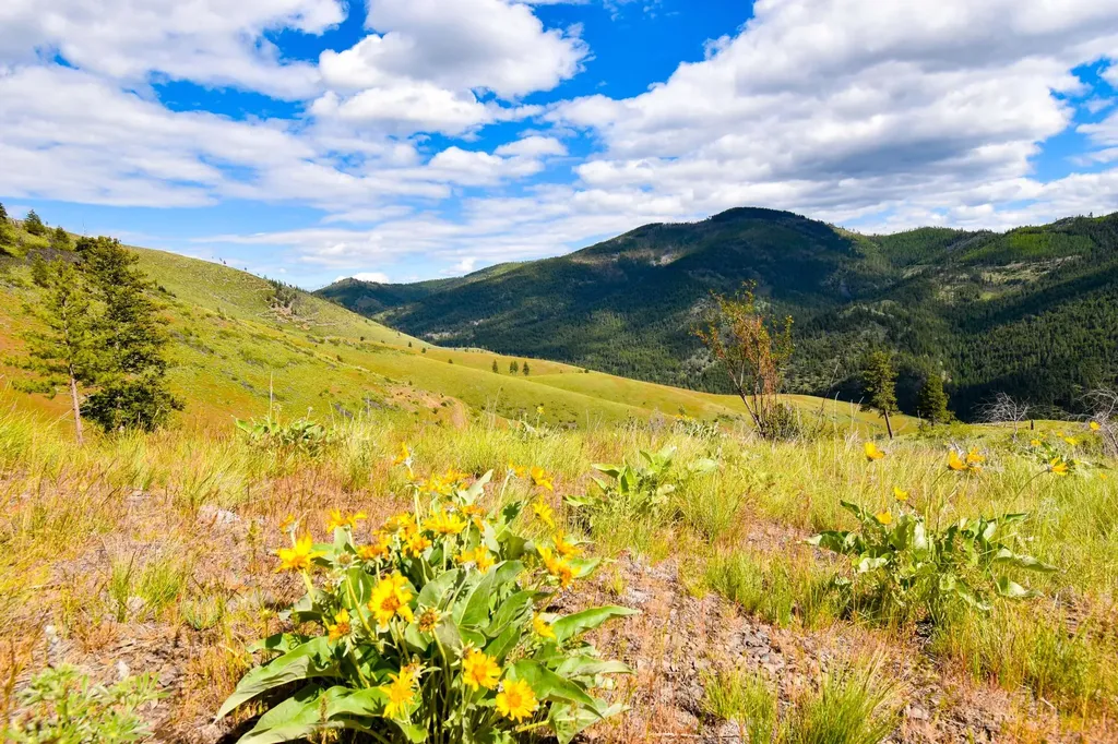 Tract 2 Henry Creek Road Plains MT 59859