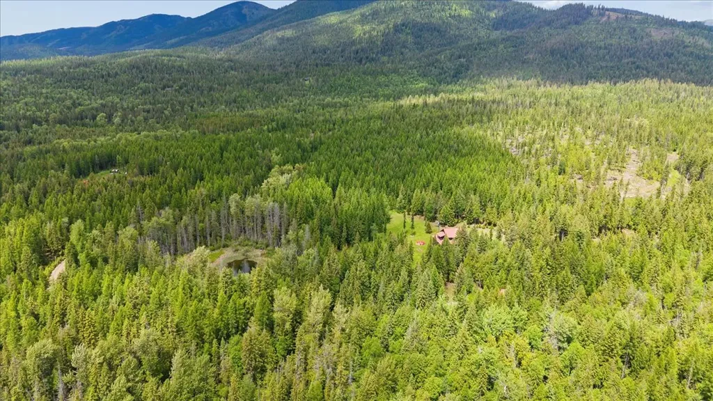 1330 Cameron Lane Whitefish MT 59937