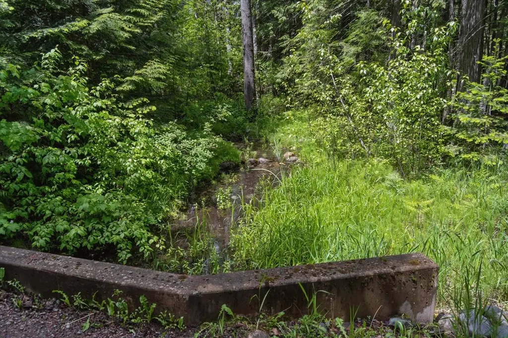 1330 Cameron Lane Whitefish MT 59937
