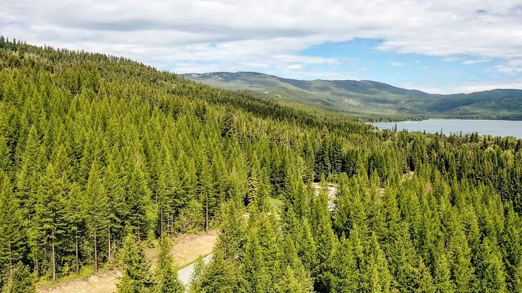 170 Bernard Creek Road Kila MT 59920