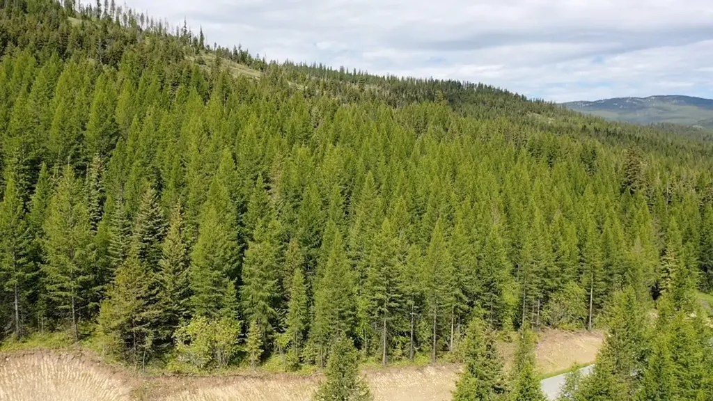 170 Bernard Creek Road Kila MT 59920