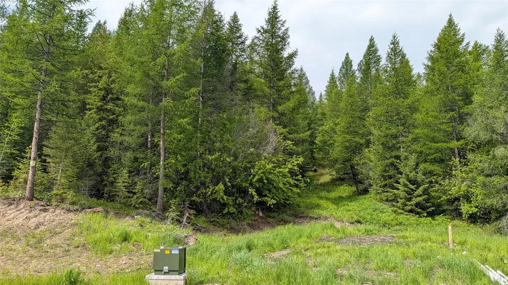 170 Bernard Creek Road Kila MT 59920