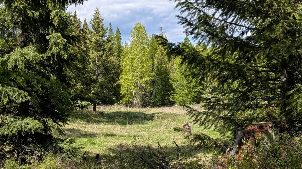 161 Bernard Creek Road Kila MT 59920
