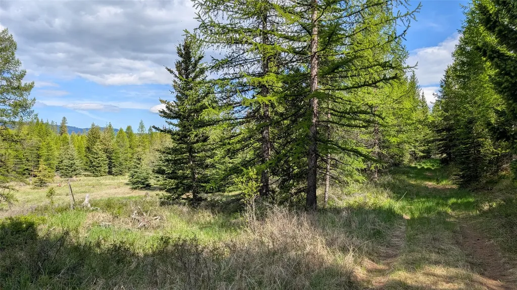 161 Bernard Creek Road Kila MT 59920