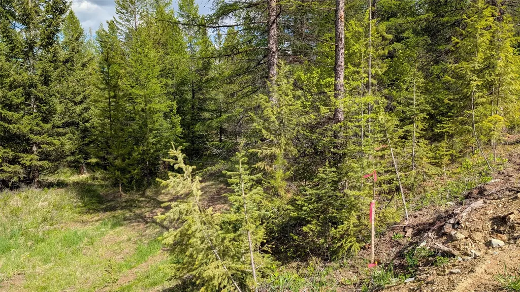 161 Bernard Creek Road Kila MT 59920