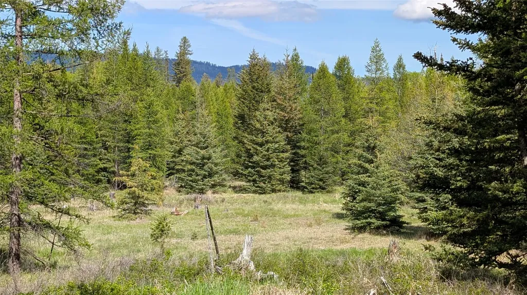 161 Bernard Creek Road Kila MT 59920