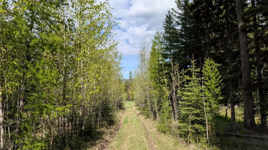 161 Bernard Creek Road Kila MT 59920