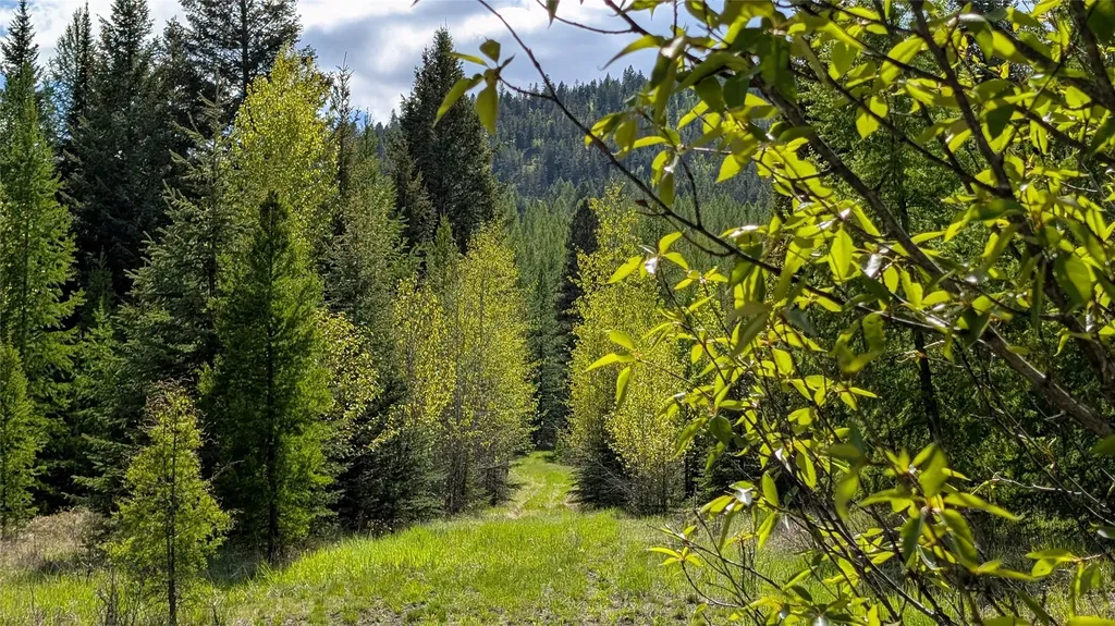 161 Bernard Creek Road Kila MT 59920