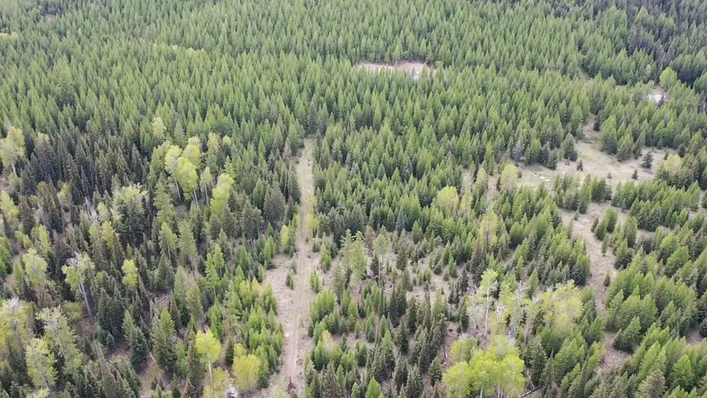 161 Bernard Creek Road Kila MT 59920