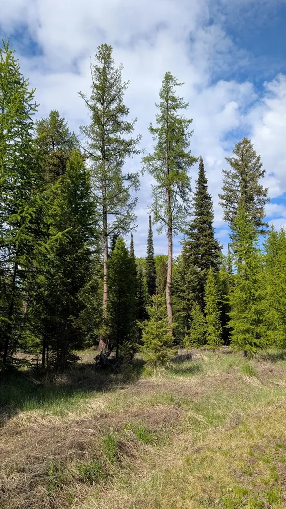 161 Bernard Creek Road Kila MT 59920