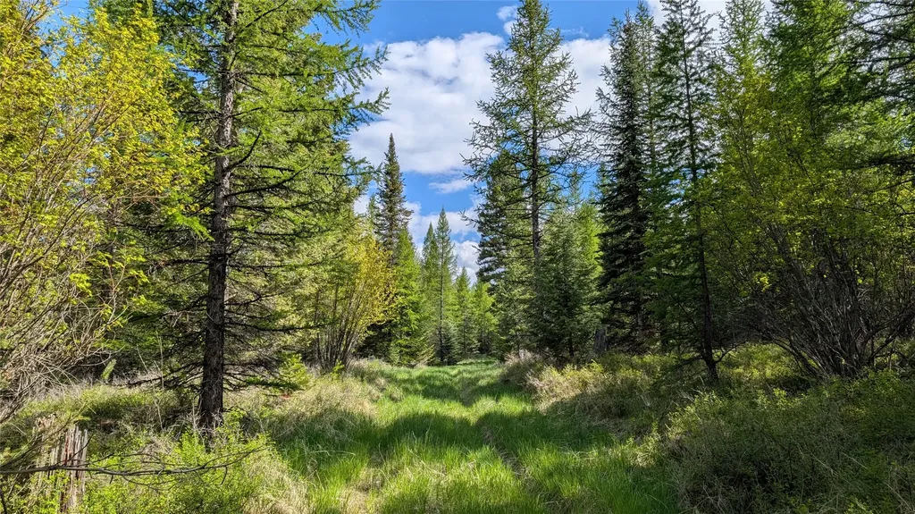 161 Bernard Creek Road Kila MT 59920