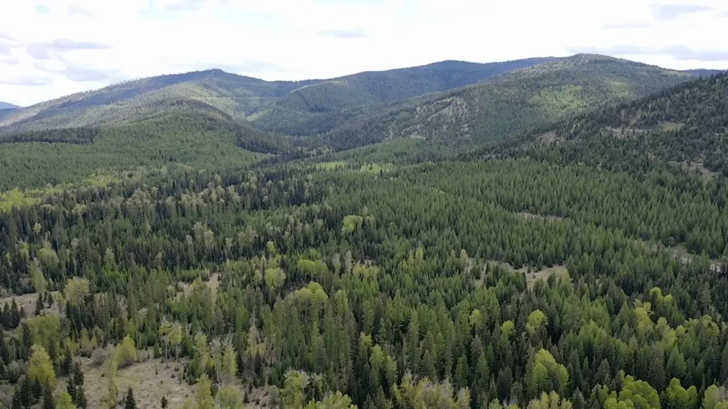 161 Bernard Creek Road Kila MT 59920