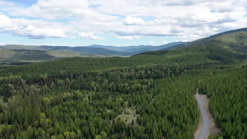 161 Bernard Creek Road Kila MT 59920