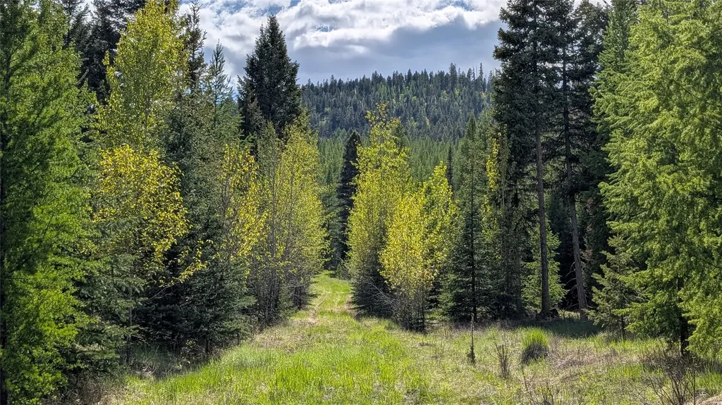 161 Bernard Creek Road Kila MT 59920