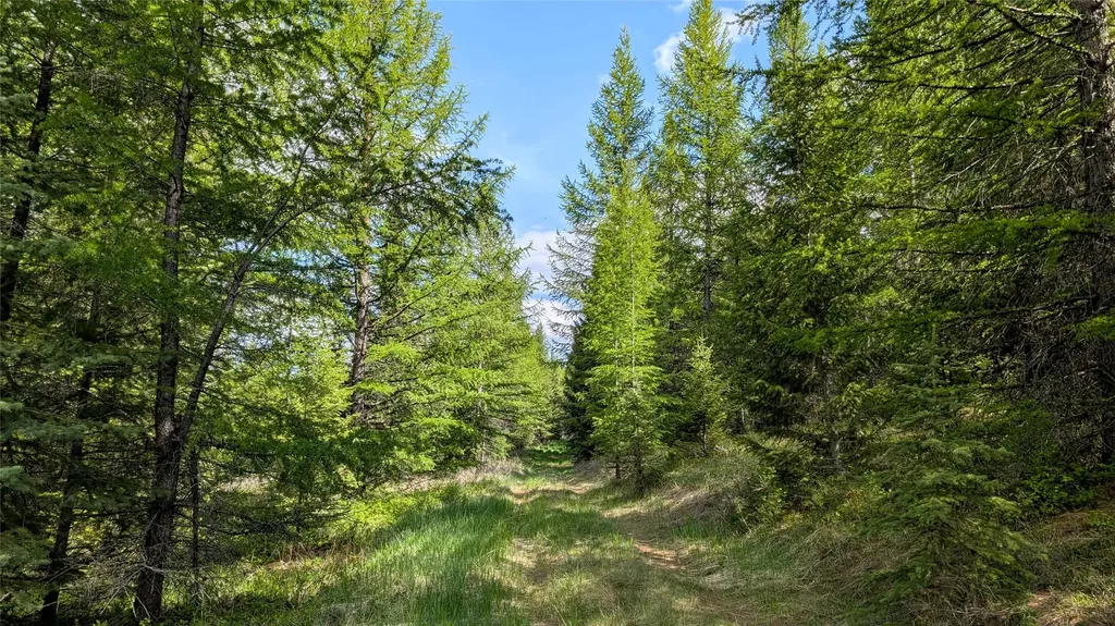 161 Bernard Creek Road Kila MT 59920