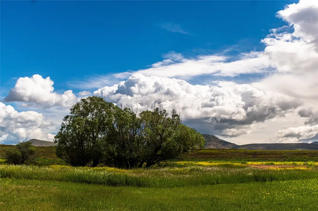 33 Garcon Gulch Road Hot Springs MT 59845