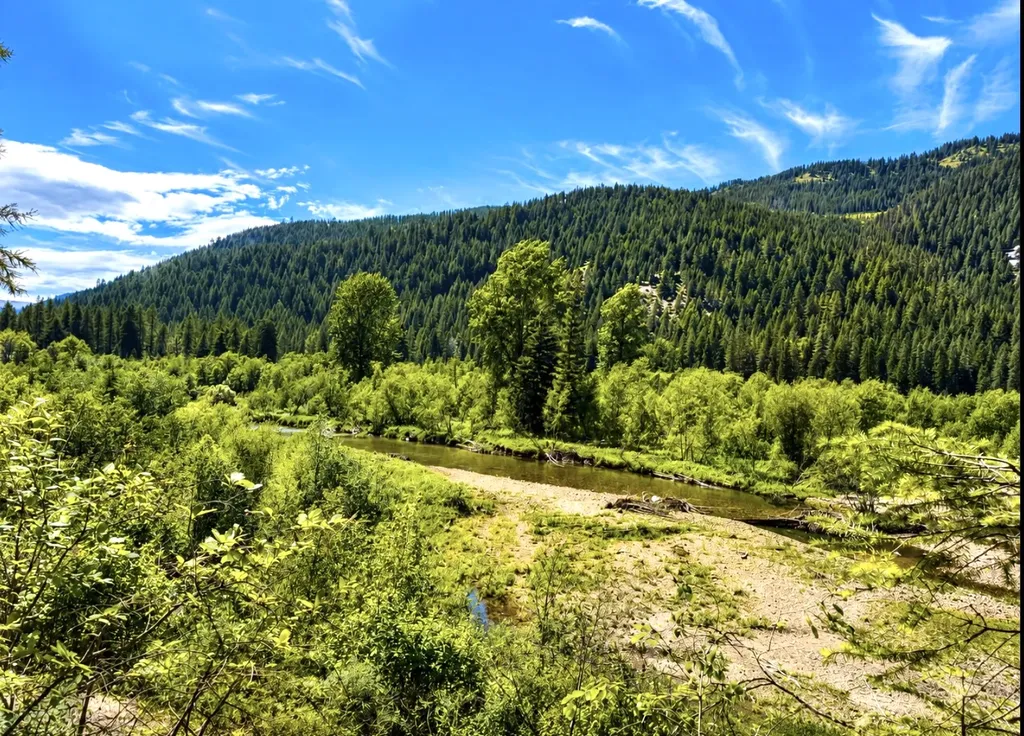 Nhn Hope Valley Road Trout Creek MT 59874