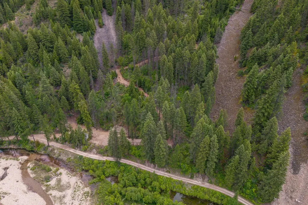 Nhn Hope Valley Road Trout Creek MT 59874